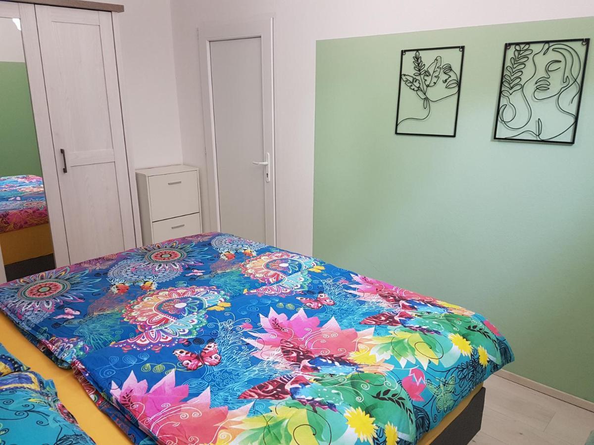 Apartma Irena نوفي فينودولسكي المظهر الخارجي الصورة